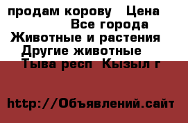 продам корову › Цена ­ 70 000 - Все города Животные и растения » Другие животные   . Тыва респ.,Кызыл г.